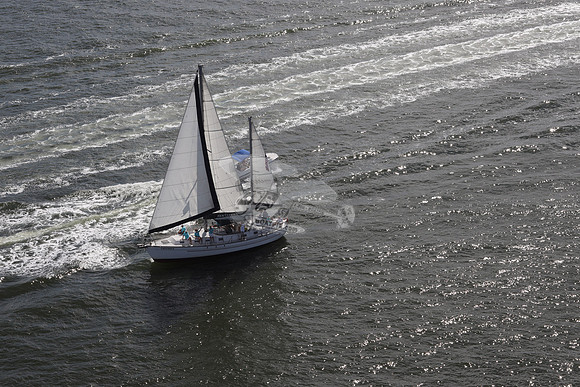 fantasea.st petersburg fl.1202