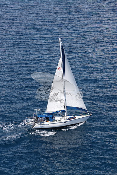 CAROLINE.C42.18