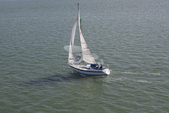 585.MS M..FL9900SM.06