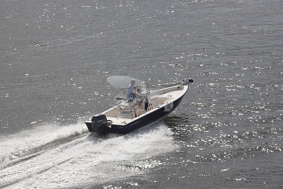 cobia.black.yamaha.04