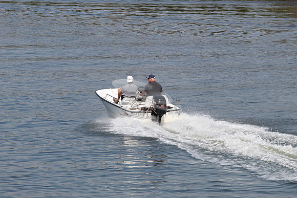 59E37484.BOSTON WHALER.7969