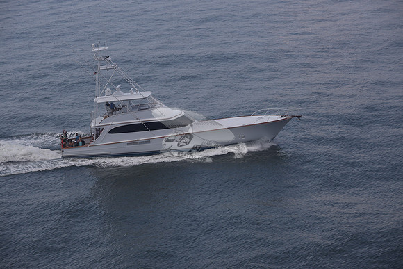BEAST.PALM BEACH FL.032