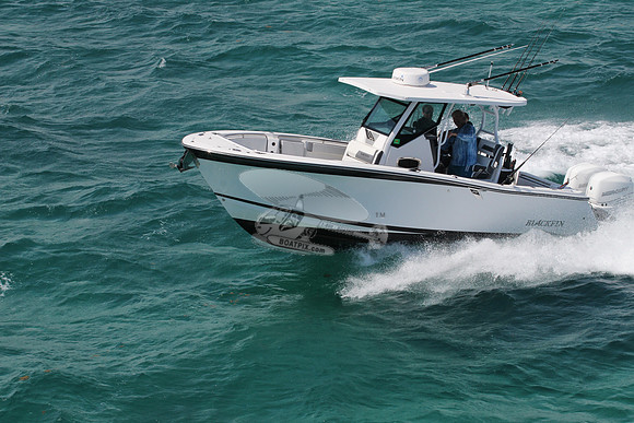 BLACKFIN.17