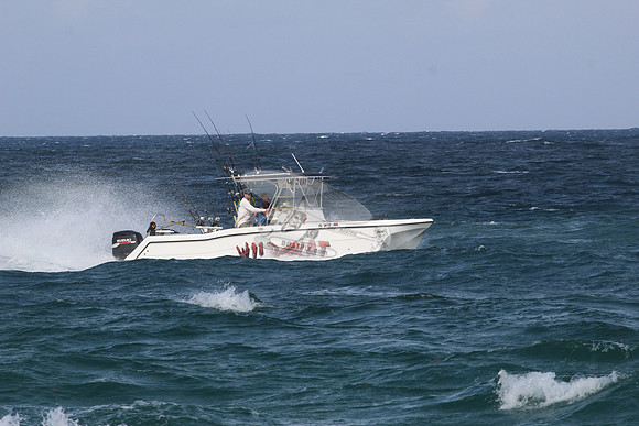 fl5599mu.wild kat.1683