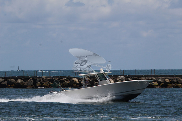 ANDIAMO.HOLLYWOOD FL.SAILFISH.101