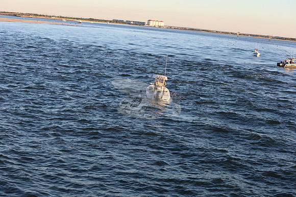 Bay Rider.2