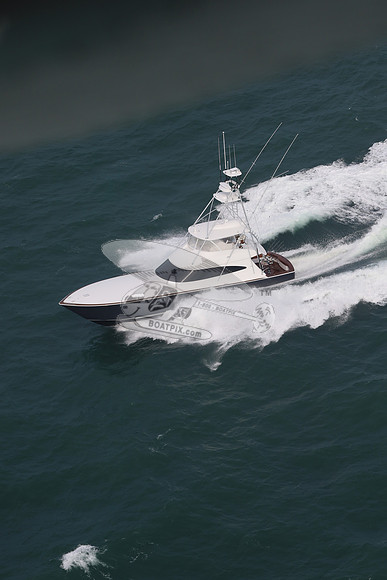 Amigo.7906