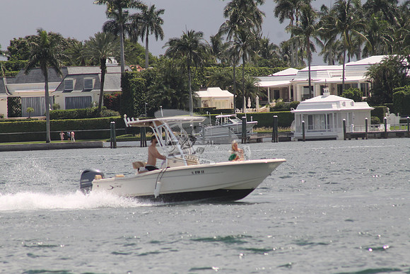 FL0786SX.01