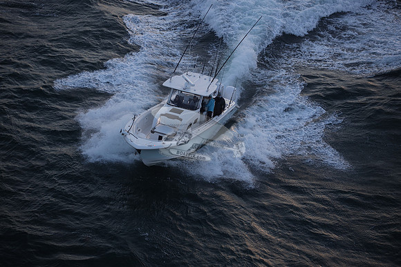 contingent seas.belleair bluffs .9042