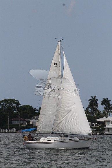 102..ETONYA.JUPITER FL.S32.2
