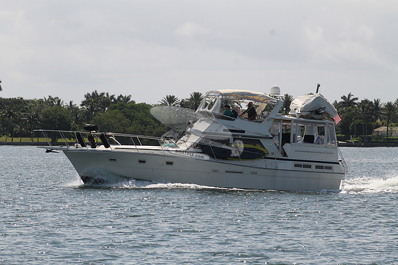 BEL DI.VIKING.4
