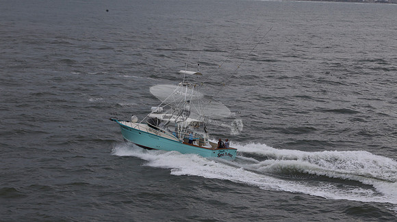 697155.hull's sea lover.ponce inlet fl.9446
