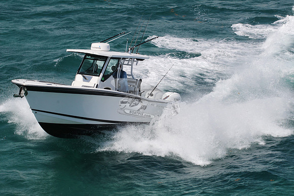 BLACKFIN.19
