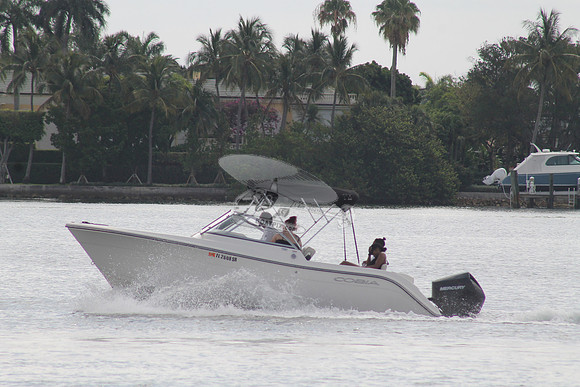FL2608SR.09