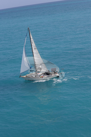 017.floren c.3882