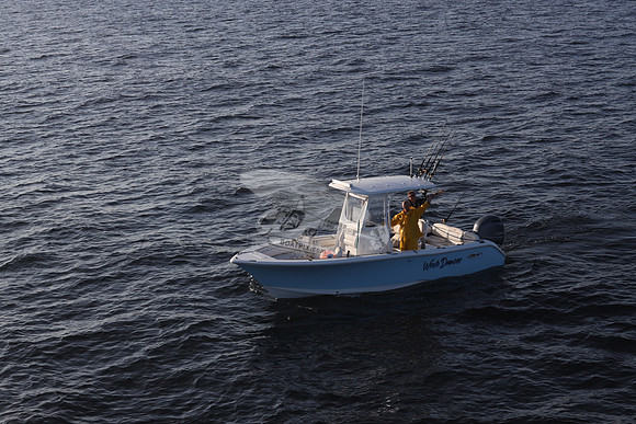 NC5632EK.WAVE DANCER.353