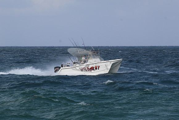 fl5599mu.wild kat.1680