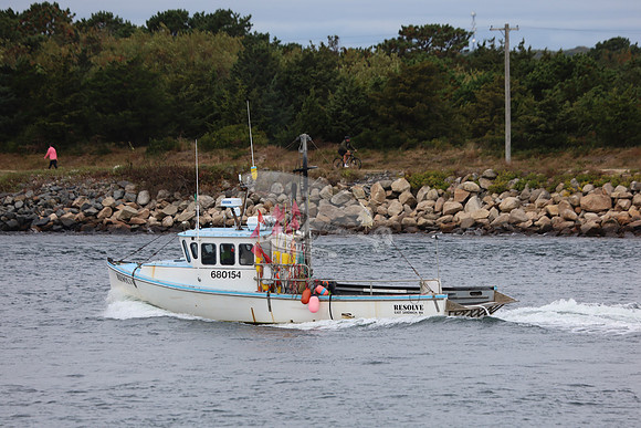 680154.resolve.east sandwich ma.5444
