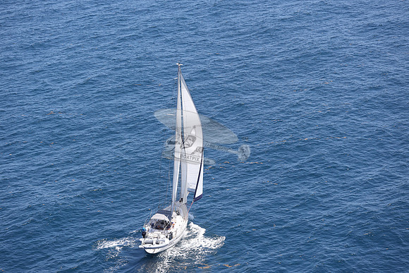 ELIZABETH ANN.ROYAL OAK MI.39