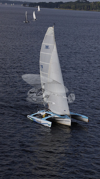 76.FL4615PB.EUPHORIA.32