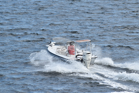 fl1341sv.1
