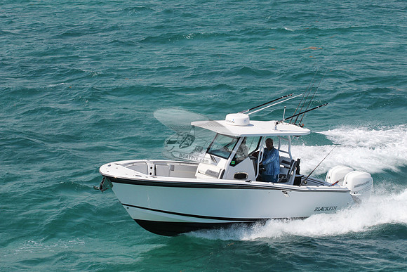 BLACKFIN.18