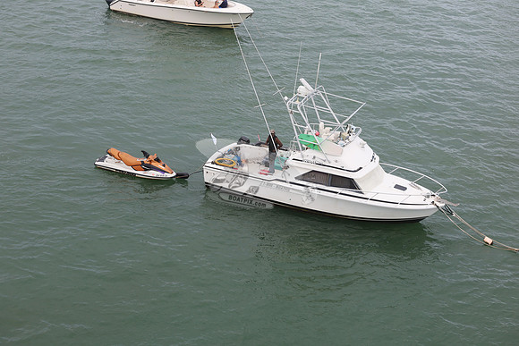 BERTRAM.513