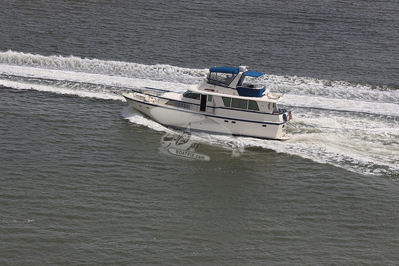 dianalita.8381