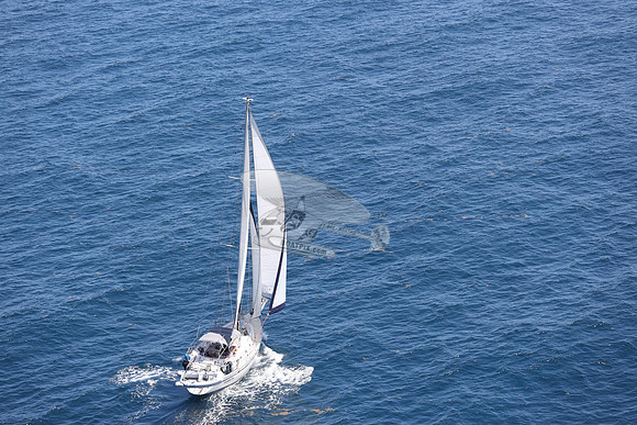 ELIZABETH ANN.ROYAL OAK MI.38