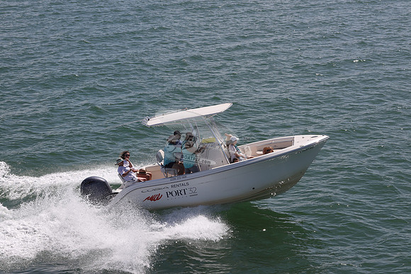 Barracuda.cobia.08