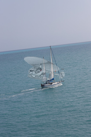 23.sea eagle.islamorada fl.4084