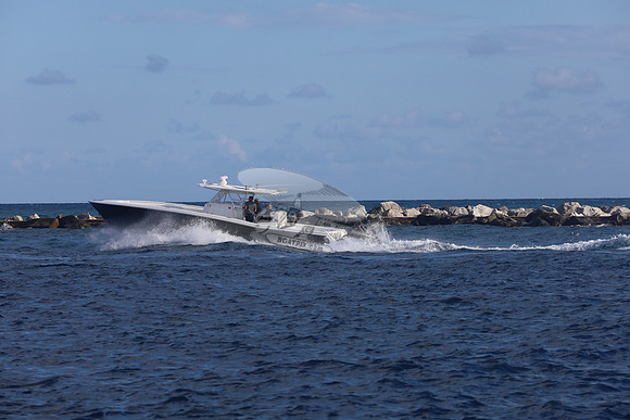 Caryali.08