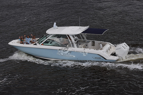 BOSTON WHALER.2 MERC.0479