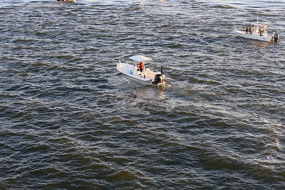 Bay Rider.1