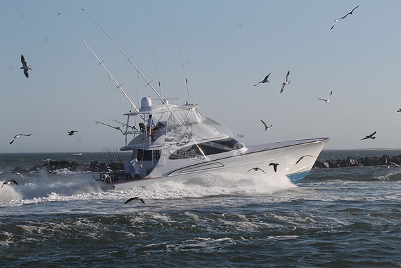 billfisher.9601
