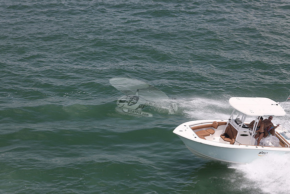 Alexa Play.sea pro.15