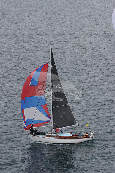 42.albacore.6307