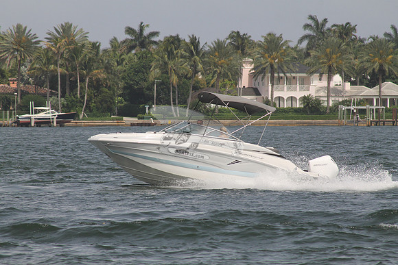 CROWNLINE.GRAY TOP.05