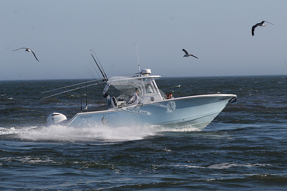 dl4893ak.tidewater.8148