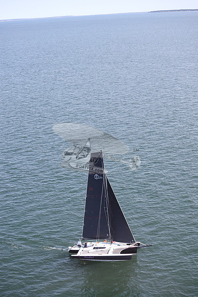 71.BLACKBIRD.MS3498A.53