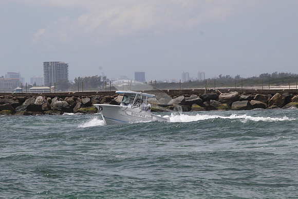 BLACKFIN.03