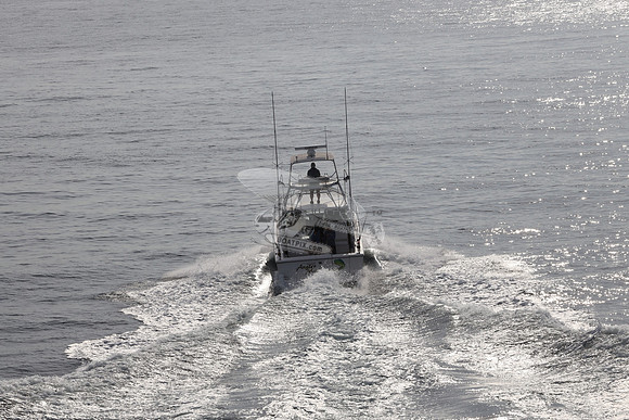 ANGLER MANAGEMENT.FTL.TIARA.03