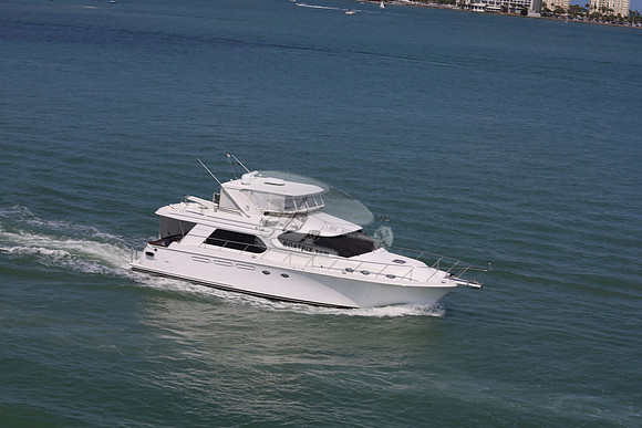 cat's life.clearwater.10