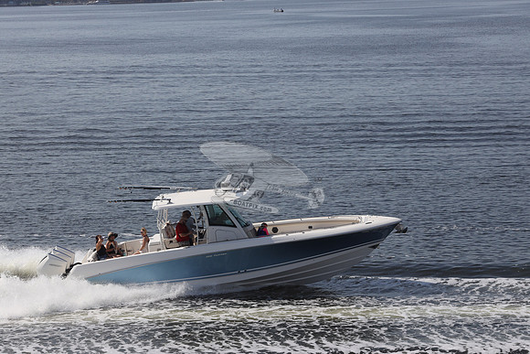 dilly dilly.boston whaler.11