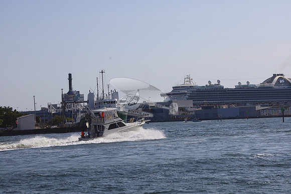 COURT SHIP.11