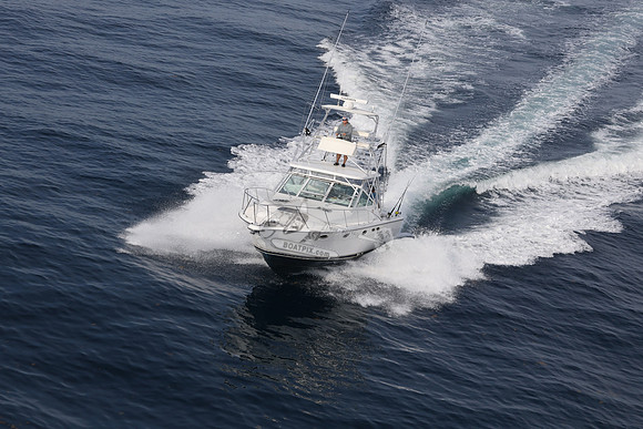 ANGLER MANAGEMENT.FTL.TIARA.26