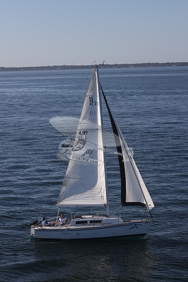 409.DELPHINA.FL6669GL.10