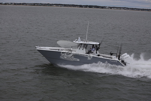 Freeman.gray.2 merc 400.12