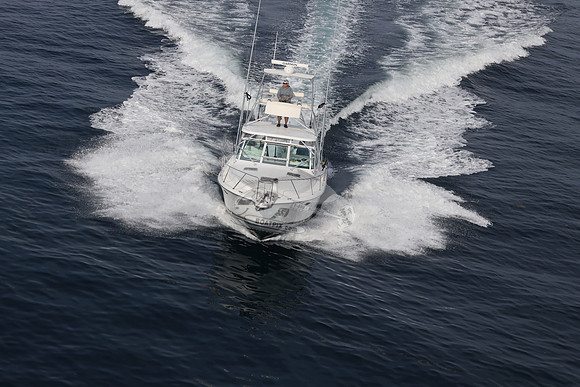 ANGLER MANAGEMENT.FTL.TIARA.28