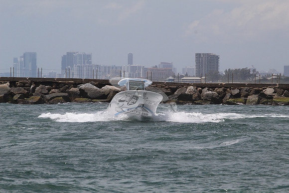 BLACKFIN.04